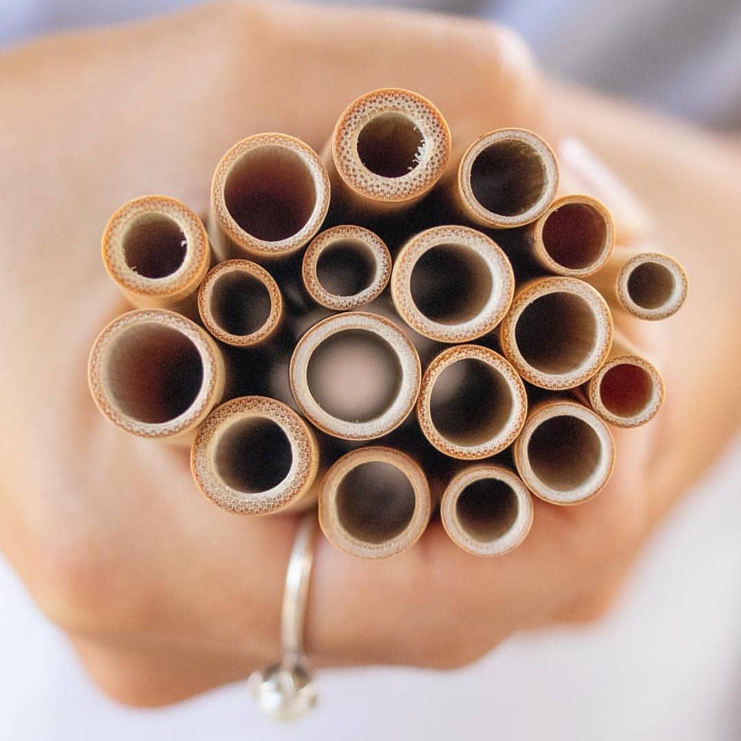 Sip gloriously, with these stunning sustainably sourced wooden bamboo straws. Carry them with you, and enjoy conscious consumption with your friends! No soggy paper Bamboo Straws - Set of 4Glorious Foods Co